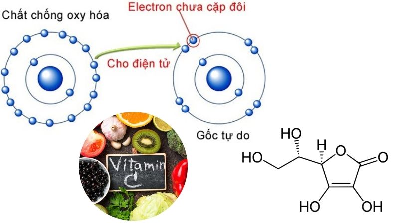 Cơ Chế Chống Oxy Hóa Của Vitamin C Thế Nào? [Chuyên Gia Giải Đáp]