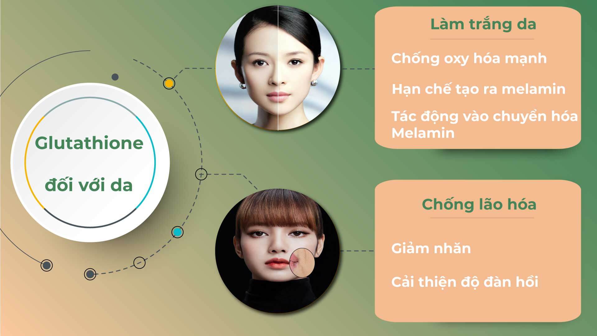 Ứng dụng của glutathione trong khoa học làn da